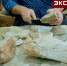 В Азовском музее-заповеднике показали найденный в Донбассе скелет мамонта - DNR-News.Ru