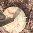 Прогноз погоды для укронацистов насближайшиемвыходные: ураган - Donetsk-News.Ru