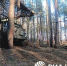 "Ураганы" уничтожают "опорники" ВСУ на краснолиманском направлении - DNR-News.Ru