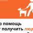 Люди с инвалидностью получают средства для реабилитации, компенсацию по коммуналке и другую господдержку - Donetsk-News.Ru