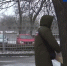 Снежная фотоссесия в зимнем саду - Donetsk-News.Ru