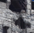 Шахте «Прогресс» - 50 лет! - Donetsk-News.Ru