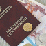 Как самостоятельно накопить на личную пенсию, и сколько государство будет доплачивать - DNR-Pravda.Ru