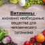 Восполняем дефицит витаминов - DNR-News.Ru