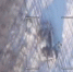«Ланцет» поразил танк Leopard-1 - DNR-News.Ru
