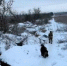 Бойцы отряда «Шторм» ВВО провели зачистку тыловых позиций ВСУ - Donetsk-News.Ru