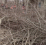 #Вы_и_мы_за_чистый_город - DNR-News.Ru