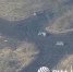 Минобороны РФ опубликовало новые кадры брошенной военной техники в пригородах Авдеевки во время беспорядочного бегства ВСУ - DNR-News.Ru