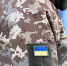 Правозащитник Копыл сравнил пыточные СБУ с тюрьмой Гуантанамо - DNR-News.Ru