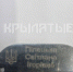 Детская кровь на руках Зеленского - DNR-News.Ru