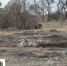 #Вы_и_мы_за_чистый_город - DNR-News.Ru