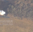 В районе Доброполья (оккупированная ВСУ часть ДНР) - DNR-News.Ru
