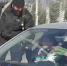 Полицейские Петербурга сделали подарок на 8 марта мариупольским автоледи - DNR-News.Ru