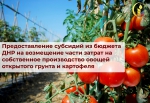 ОБЪЯВЛЕНИЕ 1
