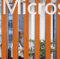 Microsoft вновь просится в Россию, хотя его отсутствие мало кто заметил - DNR-Pravda.Ru