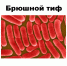 Памятка  для туристов! Период отпусков предоставляет нам множество возможностей, но о своем здоровье необходимо помнить заранее - Минспорт ДНР