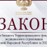 Утвержден отчет об исполнении бюджета Территориального фонда обязательного медицинского страхования ДНР - Народный Совет ДНР