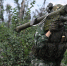 Российские войска активно продвигаются к южному пригороду Курахово - DNR-Pravda.Ru