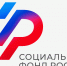 Социальный фонд России напоминает о полезных электронных сервисах для пенсионеров - DNR-Pravda.Ru