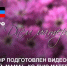 Мининфо ДНР подготовлен видеосюжет «Здравствуй, мама!» ко Дню матери - Мининфо ДНР