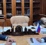 Хуснуллин и Пушилин обсудили восстановление ДНР и строительство жилья - Донецк Медиа