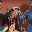 Не жалея «своих» детей… - DNR-Pravda.Ru