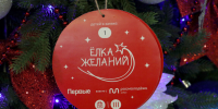 Члены Правительства исполнят детские мечты в рамках Всероссийской акции «Елка желаний» - Правительство ДНР