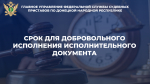 Срок для добровольного исполнения исполнительного документа