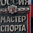 Спортсменам ДНР присвоено спортивное звание «мастер спорта России» - Минспорт ДНР
