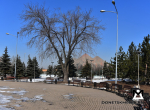 Петровский парк: раненая красота Донецка ждёт возрождения