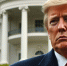 Трамп умоляет Путина не допустить резни ВСУ в Курской области - Донецк Медиа