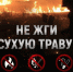 46 ПОЖАРОВ ПРОИЗОШЛО В ЭКОСИСТЕМЕ РЕСПУБЛИКИ ЗА МИНУВШИЕ СУТКИ - МЧС России
