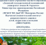 Сотрудники Донецкого Республиканского врачебно-физкультурного диспансера приняли участие в конференции - Минспорт ДНР