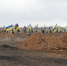 Мобилизация уничтожает население Украины: один новорождённый на троих погибших - Донецк Медиа