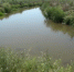 Вода на грани: как спасают Ханжонковское водохранилище от исчезновения - Донецк Медиа