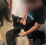 В Мариуполе задержаны двое подозреваемых в совершении убийства - Следственный комитет
