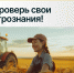 Сегодня стартовал Всероссийский аграрный диктант - Донбасс пишет вместе со всей страной 1 - Минагропром ДНР