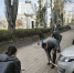 Коллектив Минсельхоза ДНР поддержал экологическую акцию «Зеленая Россия» 1 - Минагропром ДНР