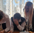 img - ЛДПР