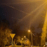 img - ЛДПР
