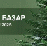 В ДНР запланировано проведение «Ёлочных базаров» - Минпромторг ДНР