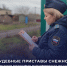 Судебные приставы Снежного взыскали налоговую задолженность с предпринимателя на сумму более 1 000 000 рублей - УФСПП по ДНР
