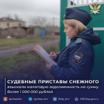 Судебные приставы Снежного взыскали налоговую задолженность с предпринимателя на сумму более 1 000 000 рублей