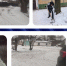 img - ЛДПР