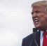 Остров на распродаже: Трамп решил купить Гренландию вместе с потрохами, — Daily Mail - Донецк Медиа