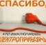 600 "причин", чтобы не игнорировать безoпaсность - МЧС России