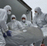 Россия передала Украине 1000 тел и получила 35 российских воинов - Донецк Медиа