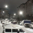 В Санкт-Петербурге предотвратили покушение на офицера Минобороны - Донецк Медиа