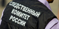 В Макеевке задержан подозреваемый в убийстве - Следственный комитет