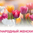 Поздравление премьер-министра Андрея Черткова с Международным женским днем - Divan-News.Ru